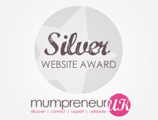 silver website award